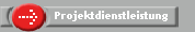 Projektdienstleistung